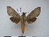  ( - PD-BC 2345)  @13 [ ] Copyright (2010) Unspecified Research Collection of Philippe Darge