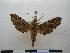  ( - PD-BC 1146)  @13 [ ] Copyright (2010) Unspecified Research Collection of Philippe Darge