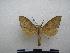  ( - PD-BC-2034)  @12 [ ] Copyright (2010) Unspecified Research Collection of Philippe Darge