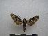  ( - PD-BC-2057)  @13 [ ] Copyright (2010) Unspecified Research Collection of Philippe Darge