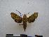  ( - PD-BC-2067)  @13 [ ] Copyright (2010) Unspecified Research Collection of Philippe Darge