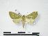 ( - PD-BC 571)  @12 [ ] Copyright (2010) Unspecified Research Collection of Philippe Darge