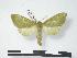  ( - PD-BC 572)  @12 [ ] Copyright (2010) Unspecified Research Collection of Philippe Darge