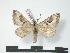  ( - PD-BC 575)  @14 [ ] Copyright (2010) Unspecified Research Collection of Philippe Darge