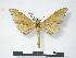  ( - PD-BC 592)  @13 [ ] Copyright (2010) Unspecified Research Collection of Philippe Darge