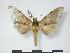  ( - PD-BC 594)  @13 [ ] Copyright (2010) Unspecified Research Collection of Philippe Darge