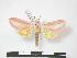 ( - PD-BC 611)  @13 [ ] Copyright (2010) Unspecified Research Collection of Philippe Darge
