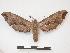 ( - PD-BC 642)  @14 [ ] Copyright (2010) Unspecified Research Collection of Philippe Darge