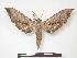  ( - PD-BC 647)  @14 [ ] Copyright (2010) Unspecified Research Collection of Philippe Darge