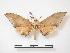  ( - PD-BC 659)  @14 [ ] Copyright (2010) Unspecified Research Collection of Philippe Darge