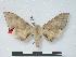  ( - PD-BC 664)  @13 [ ] Copyright (2010) Unspecified Research Collection of Philippe Darge