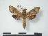 ( - PD-BC 732)  @13 [ ] Copyright (2010) Unspecified Research Collection of Philippe Darge
