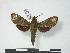  ( - PD-BC 733)  @14 [ ] Copyright (2010) Unspecified Research Collection of Philippe Darge