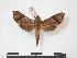  ( - PD-BC 763)  @14 [ ] Copyright (2010) Unspecified Research Collection of Philippe Darge