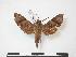  ( - PD-BC 764)  @13 [ ] Copyright (2010) Unspecified Research Collection of Philippe Darge