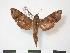  ( - PD-BC 765)  @13 [ ] Copyright (2010) Unspecified Research Collection of Philippe Darge