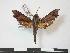  ( - PD-BC 771)  @13 [ ] Copyright (2010) Unspecified Research Collection of Philippe Darge