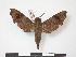  ( - PD-BC 781)  @13 [ ] Copyright (2010) Unspecified Research Collection of Philippe Darge
