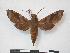  ( - PD-BC 783)  @14 [ ] Copyright (2010) Unspecified Research Collection of Philippe Darge