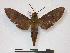  ( - PD-BC 831)  @13 [ ] Copyright (2010) Unspecified Research Collection of Philippe Darge