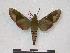  ( - PD-BC 847)  @13 [ ] Copyright (2010) Unspecified Research Collection of Philippe Darge