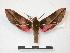  ( - PD-BC 873)  @13 [ ] Copyright (2010) Unspecified Research Collection of Philippe Darge