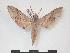  ( - PD-BC 901)  @14 [ ] Copyright (2010) Unspecified Research Collection of Philippe Darge