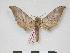  ( - PD-BC 115)  @13 [ ] Copyright (2010) Unspecified Research Collection of Philippe Darge