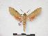  ( - PD-BC 125)  @13 [ ] Copyright (2010) Unspecified Research Collection of Philippe Darge