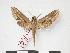 ( - PD-BC 130)  @13 [ ] Copyright (2010) Unspecified Research Collection of Philippe Darge