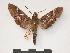  ( - PD-BC 014)  @13 [ ] Copyright (2010) Unspecified Research Collection of Philippe Darge