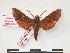  ( - PD-BC 220)  @13 [ ] Copyright (2010) Unspecified Research Collection of Philippe Darge