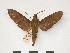  ( - PD-BC 024)  @13 [ ] Copyright (2010) Unspecified Research Collection of Philippe Darge
