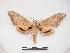  ( - PD-BC 255)  @14 [ ] Copyright (2010) Unspecified Research Collection of Philippe Darge