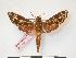  ( - PD-BC 303)  @14 [ ] Copyright (2010) Unspecified Research Collection of Philippe Darge