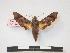  ( - PD-BC 314)  @14 [ ] Copyright (2010) Unspecified Research Collection of Philippe Darge