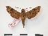  ( - PD-BC 322)  @14 [ ] Copyright (2010) Unspecified Research Collection of Philippe Darge
