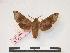 ( - PD-BC 337)  @13 [ ] Copyright (2010) Unspecified Research Collection of Philippe Darge