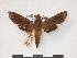  ( - PD-BC 069)  @13 [ ] Copyright (2010) Unspecified Research Collection of Philippe Darge