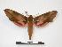  ( - PD-BC 867.1)  @11 [ ] Copyright (2010) Unspecified Research Collection of Philippe Darge