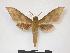  ( - PD-BC 917.1)  @13 [ ] Copyright (2010) Unspecified Research Collection of Philippe Darge