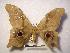 ( - PD-BC 399)  @14 [ ] Copyright (2010) Unspecified Research Collection of Philippe Darge