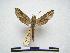  ( - PD-BC 420)  @13 [ ] Copyright (2010) Unspecified Research Collection of Philippe Darge