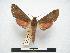  ( - PD-BC 425)  @13 [ ] Copyright (2010) Unspecified Research Collection of Philippe Darge