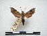  ( - PD-BC 427)  @14 [ ] Copyright (2010) Unspecified Research Collection of Philippe Darge