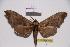  ( - BC-RBP-0098)  @13 [ ] Copyright (2010) Unspecified Research Collection of Ron Brechlin