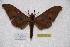  ( - BC-RBP-0146)  @12 [ ] Copyright (2010) Unspecified Research Collection of Ron Brechlin