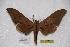  ( - BC-RBP-0149)  @13 [ ] Copyright (2010) Unspecified Research Collection of Ron Brechlin
