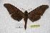  ( - BC-RBP-0152)  @13 [ ] Copyright (2010) Unspecified Research Collection of Ron Brechlin