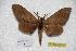  ( - BC-RBP-0157)  @12 [ ] Copyright (2010) Unspecified Research Collection of Ron Brechlin
